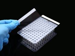 Folia, film do płytek PCR i q-PCR, 100x1szt/100szt